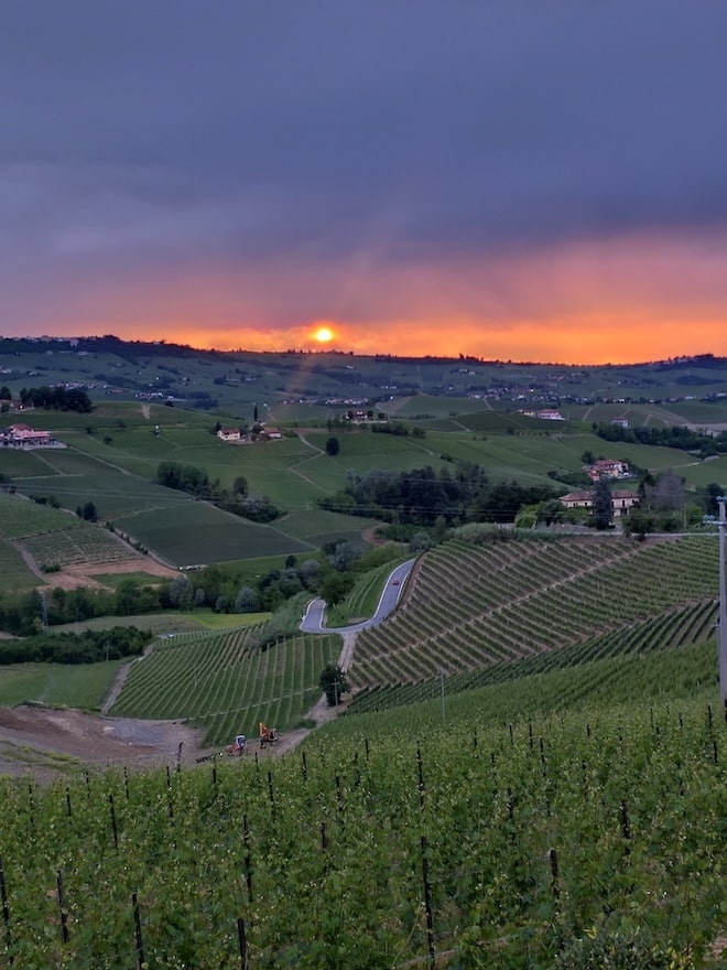 A look back at the wine discovery tour patronned by the FICB to Alba (Piedmont, Italy)